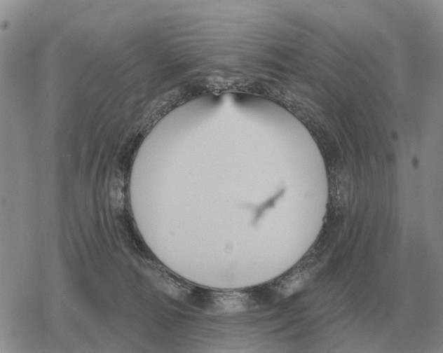 X0000078290226200611251451