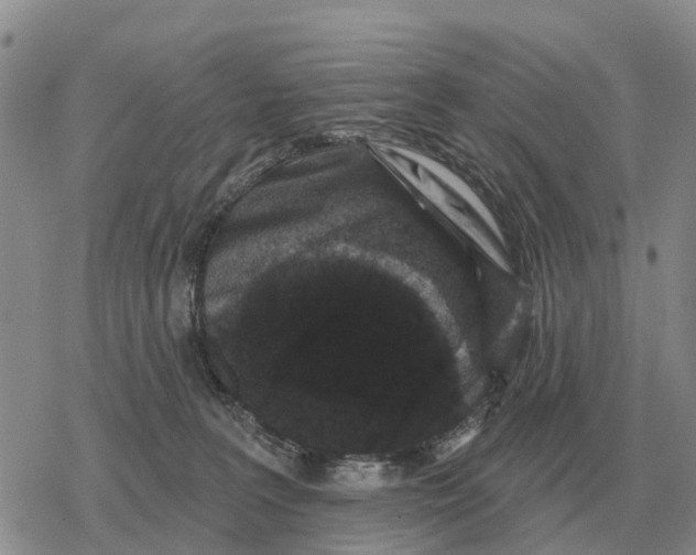 X0000078290227200611251451