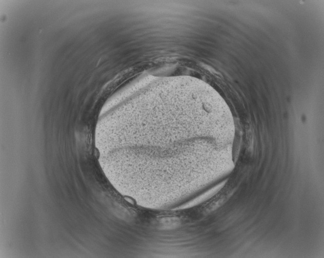 X0000078290228200611251451