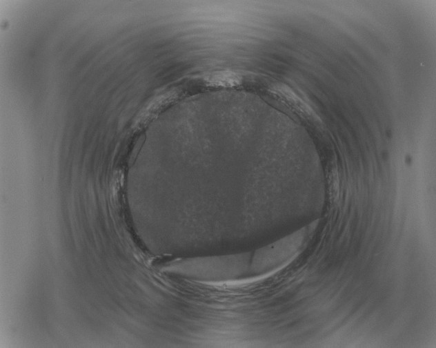 X0000078290229200611251451