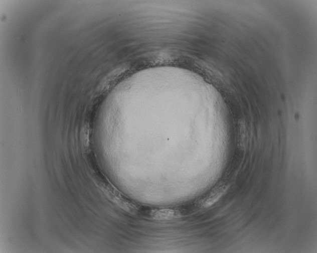 X0000078290230200611251451