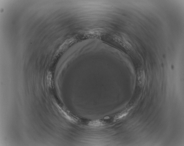 X0000078290231200611251451