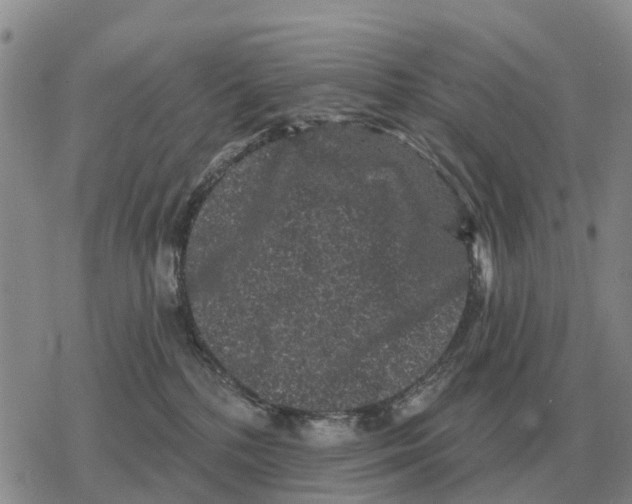 X0000078290232200611251451