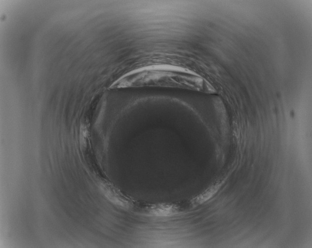 X0000078290235200611251451