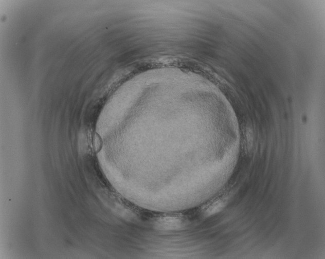 X0000078290236200611251451