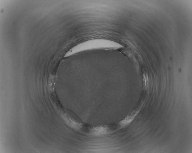 X0000078290237200611251451