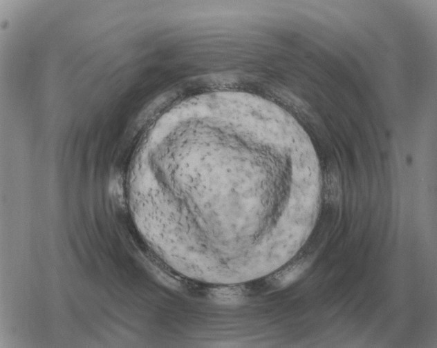 X0000078290238200611251451