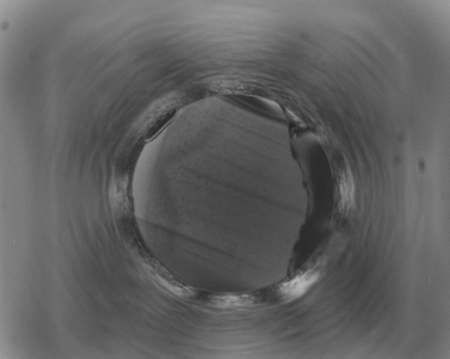 X0000078290239200611251451