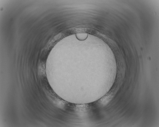 X0000078290240200611251451