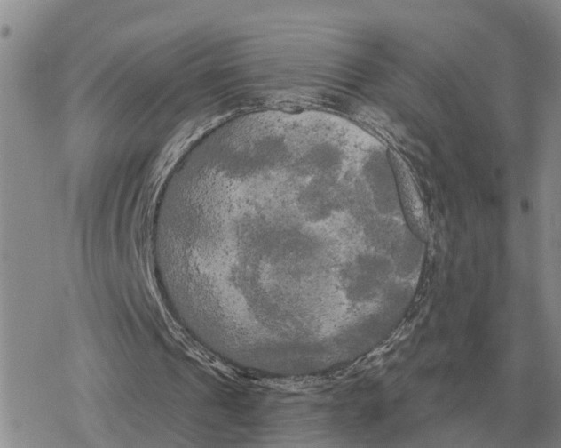 X0000078290241200611251450