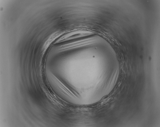 X0000078290242200611251450