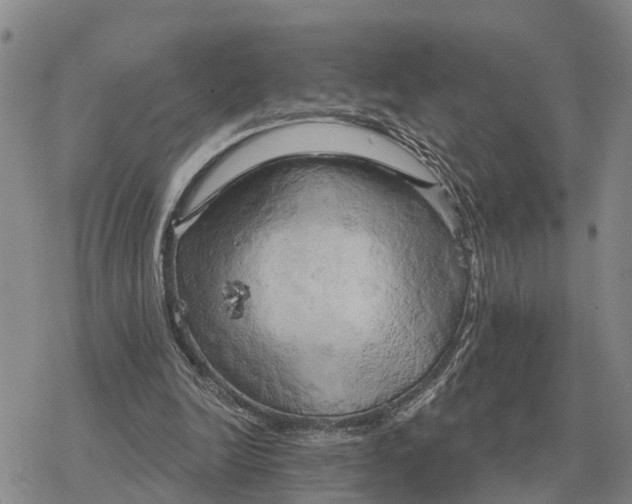 X0000078290246200611251450