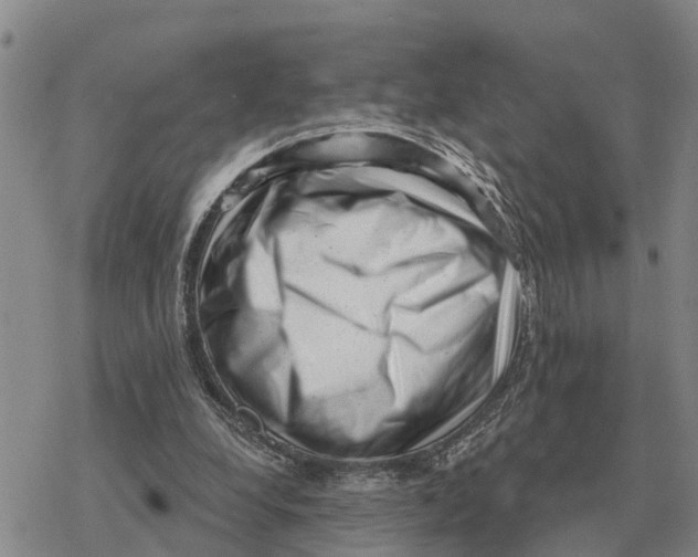 X0000078290248200611251450