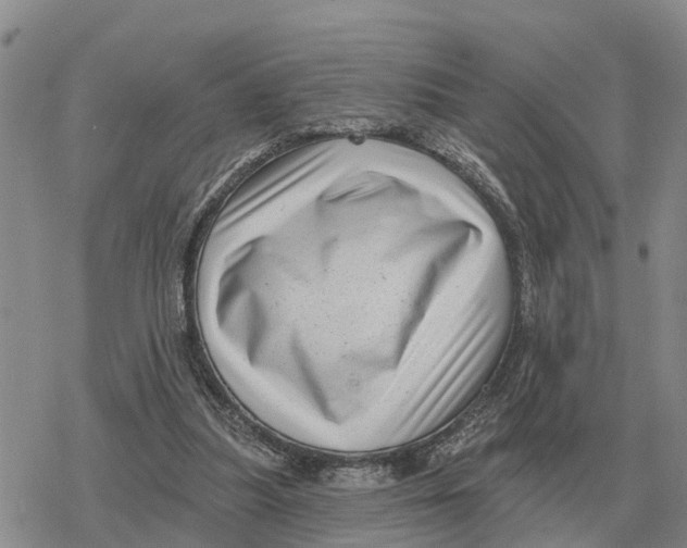 X0000078290251200611251450