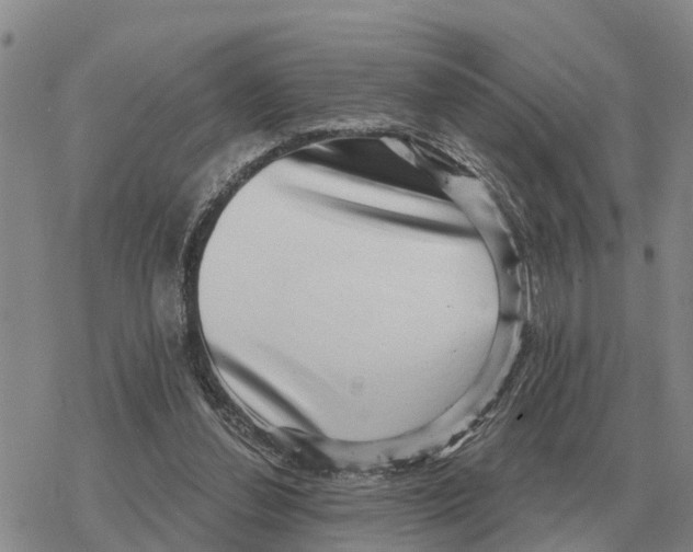 X0000078290252200611251450