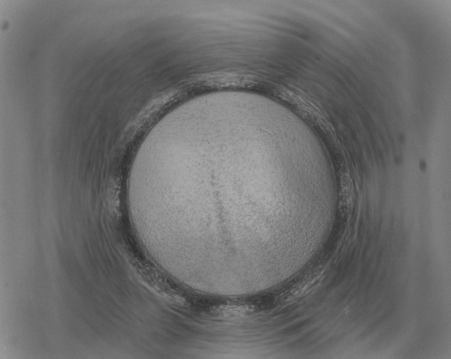 X0000078290255200611251450