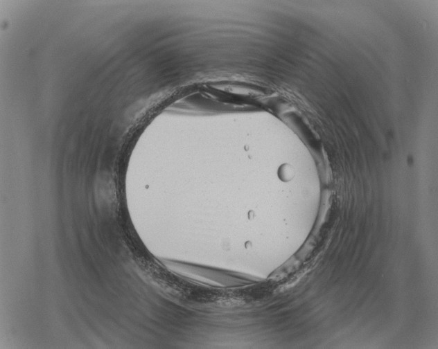 X0000078290256200611251450