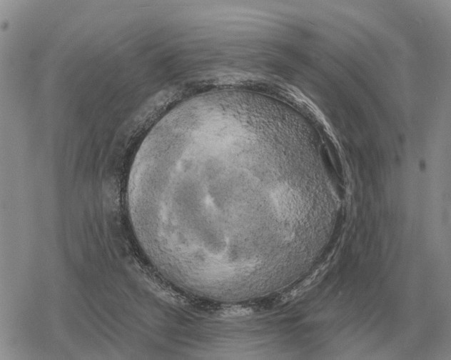 X0000078290257200611251450