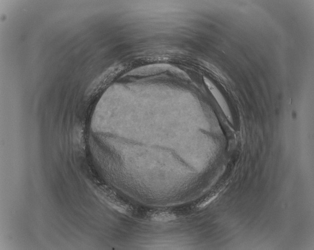 X0000078290258200611251450