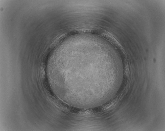 X0000078290259200611251450