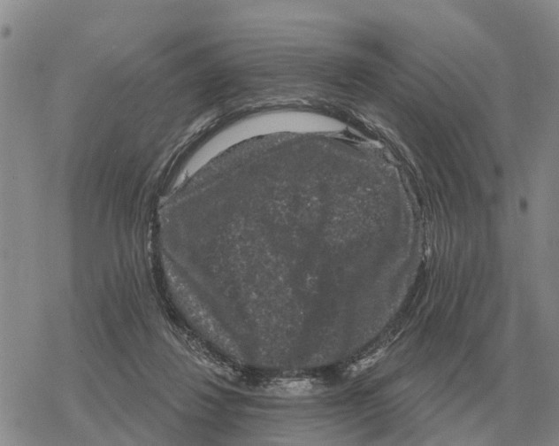 X0000078290260200611251450