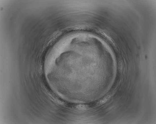 X0000078290261200611251450