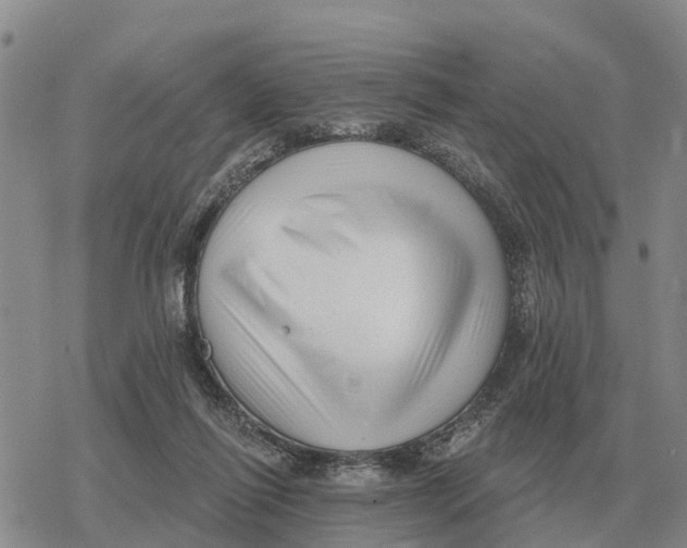 X0000078290262200611251450