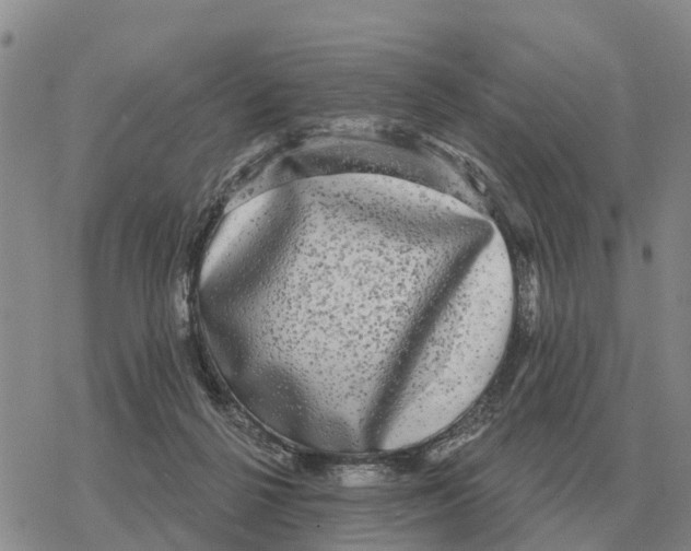 X0000078290264200611251450