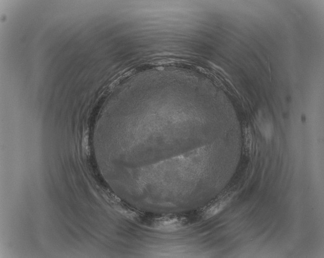 X0000078290267200611251450