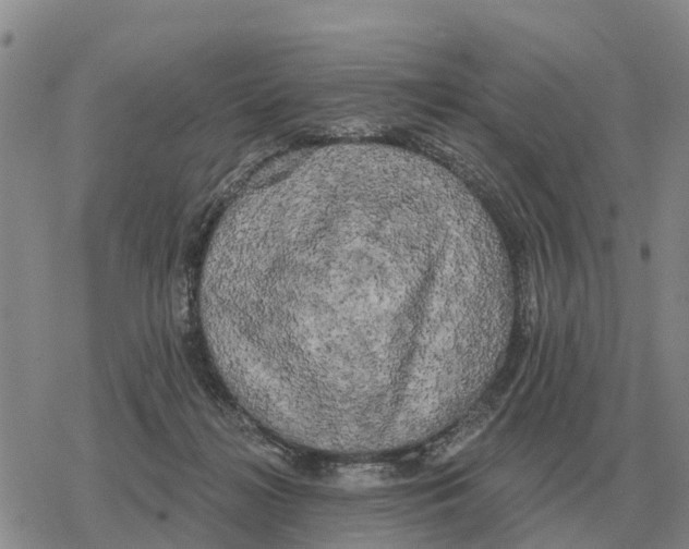 X0000078290268200611251450