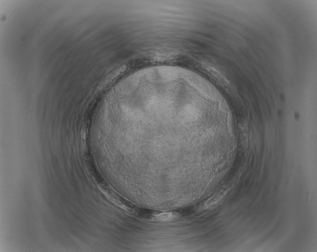 X0000078290269200611251450