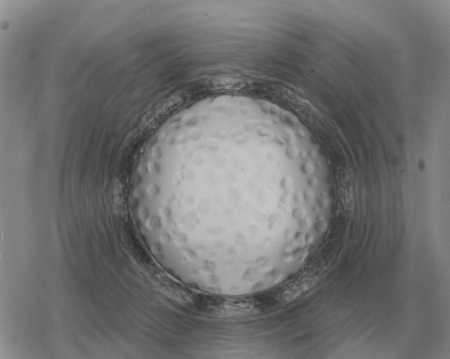 X0000078290270200611251450