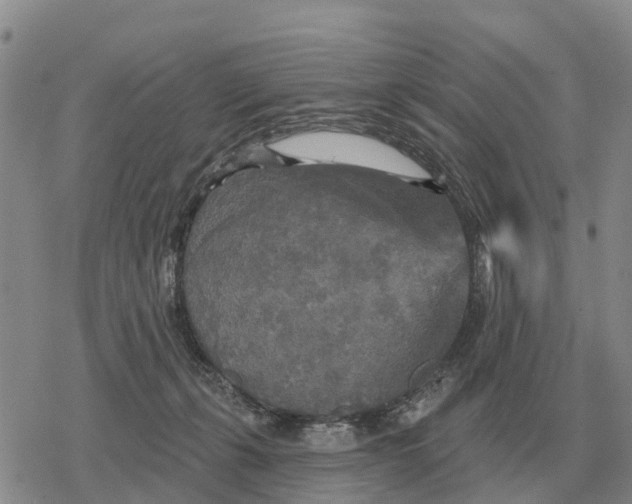 X0000078290271200611251450