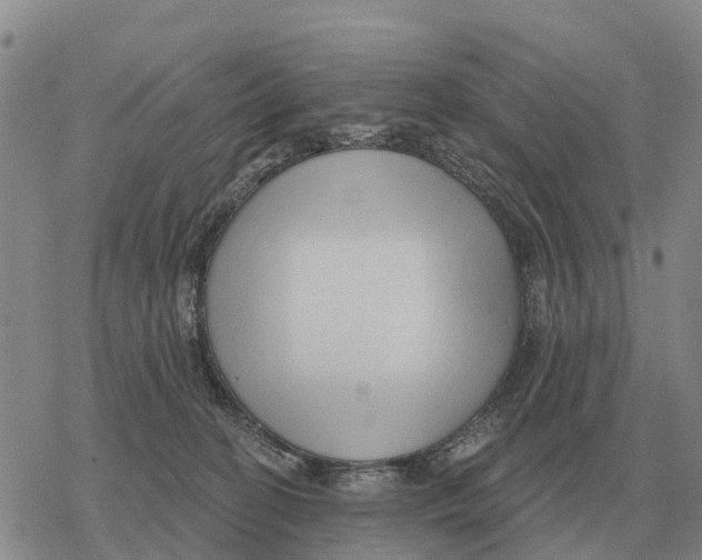 X0000078290274200611251450