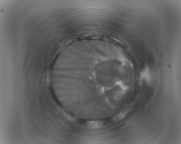 X0000078290277200611251450