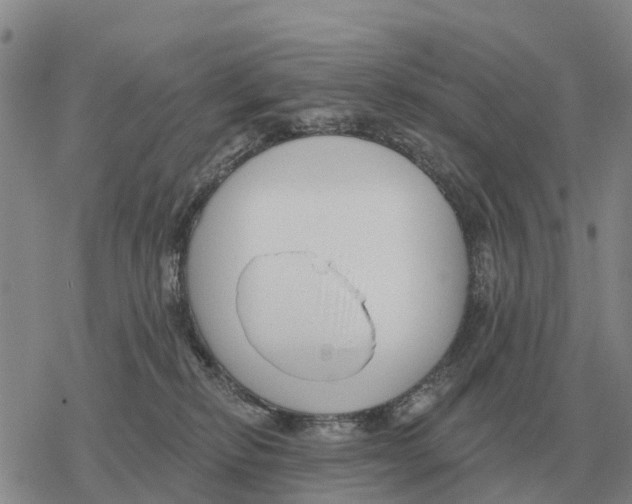 X0000078290278200611251451