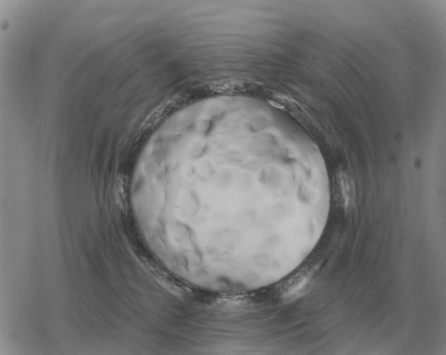 X0000078290280200611251451