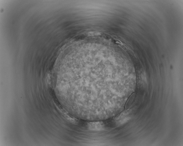 X0000078290281200611251451