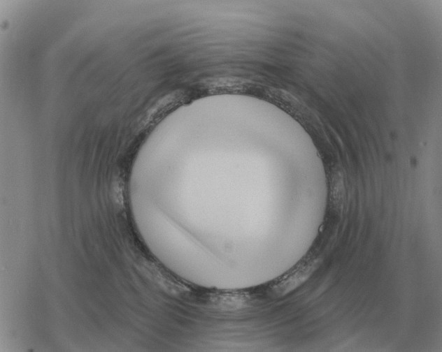 X0000078290282200611251451