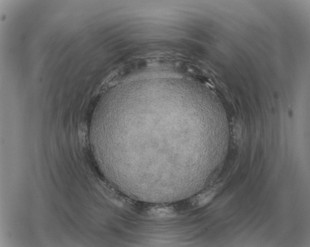 X0000078290283200611251451