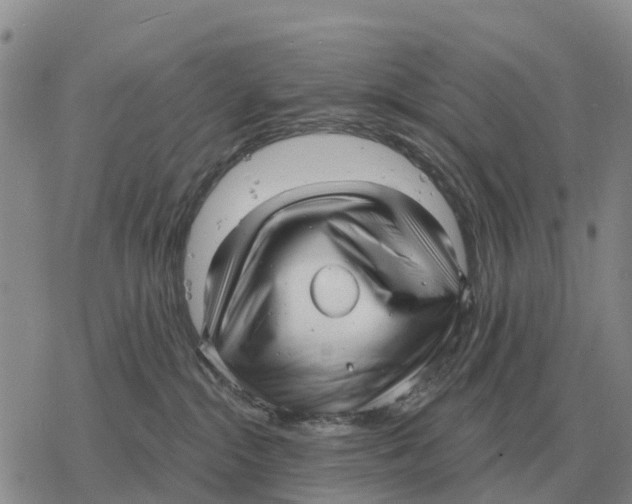 X0000078290284200611251451