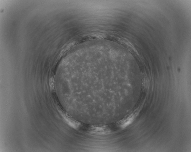 X0000078290285200611251451