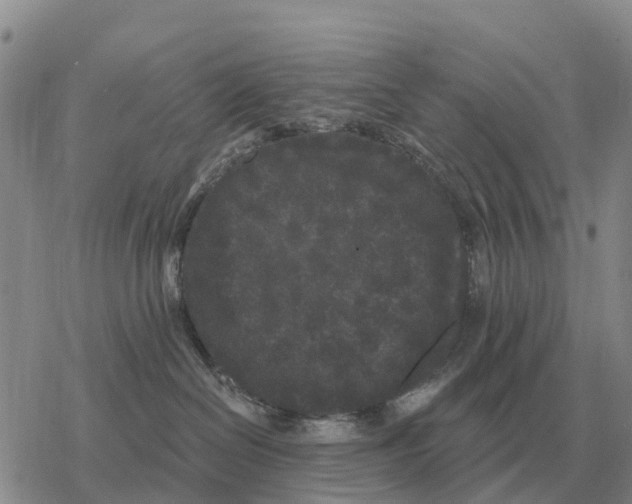 X0000078290286200611251451