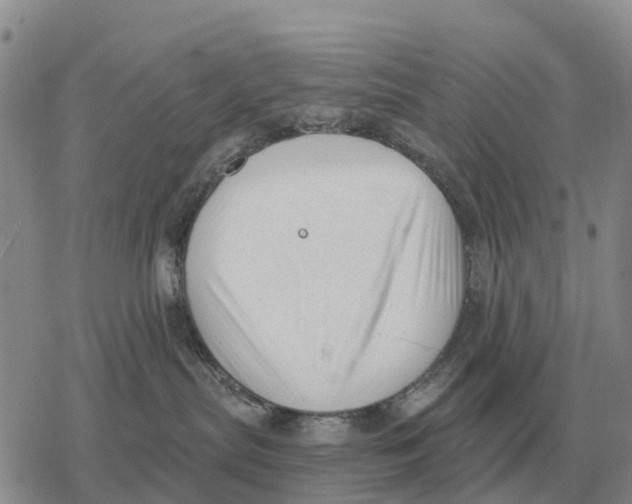 X0000078290287200611251451