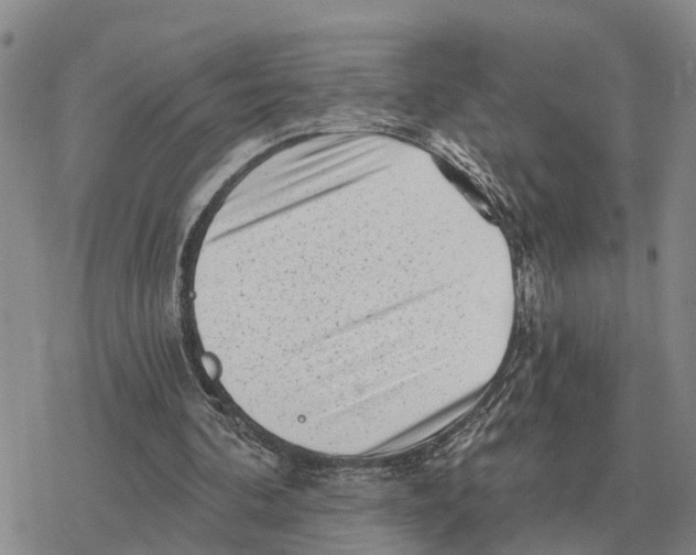 X0000078290292200611251450