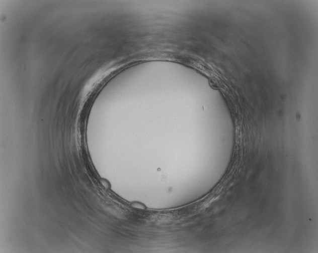 X0000078290294200611251450