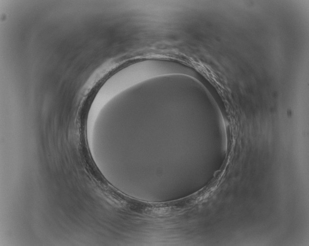 X0000078290295200611251450