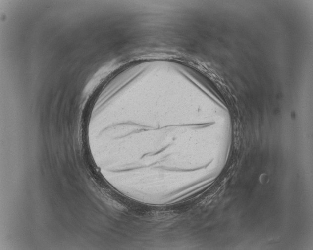 X0000078290296200611251450