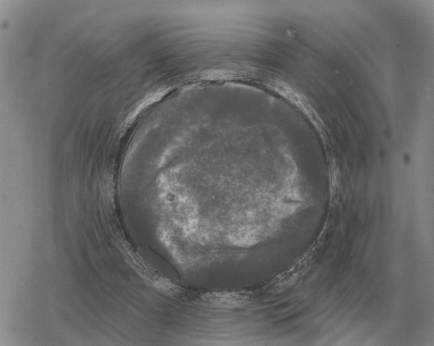 X0000078290297200611251450