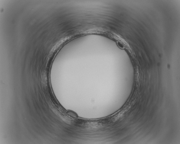 X0000078290298200611251450